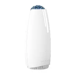 Airfree Tulip 80